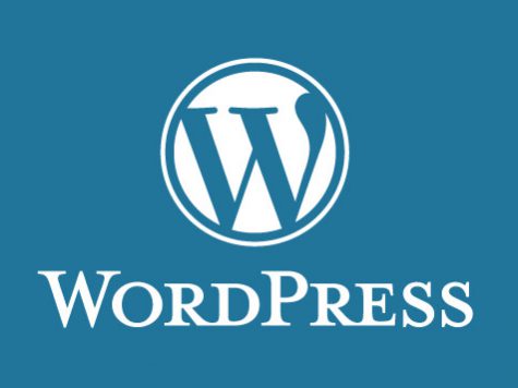 Free Premium Wordpress Themes