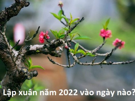 Lập xuân năm 2022 vào ngày nào?