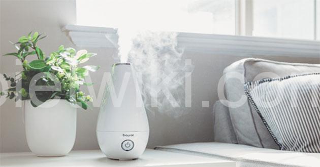 Ngạt mũi tiếng anh là gì? Ngạt mũi thì phải làm sao cho hết? 4 Làm ẩm không khí